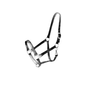 Halters -lead ropes