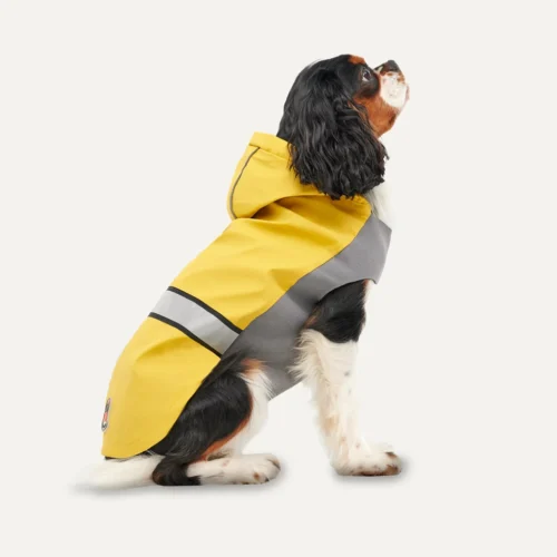 Goo-eez Reflective Hooded Raincoat 