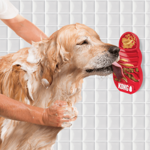 KONG Licks Treat Dispenser - Image 2