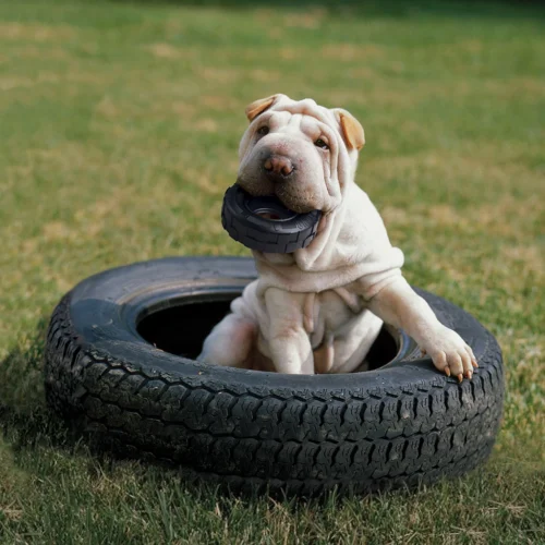 KONG Extreme Tyres  - Image 2