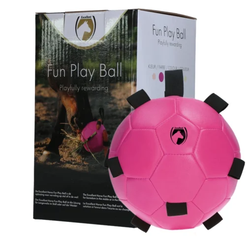 Excellent Horse Fun Play Ball