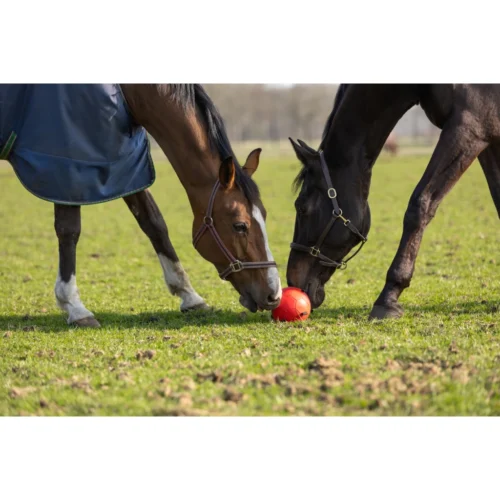 Excellent Horse Fun Play Ball - Image 4