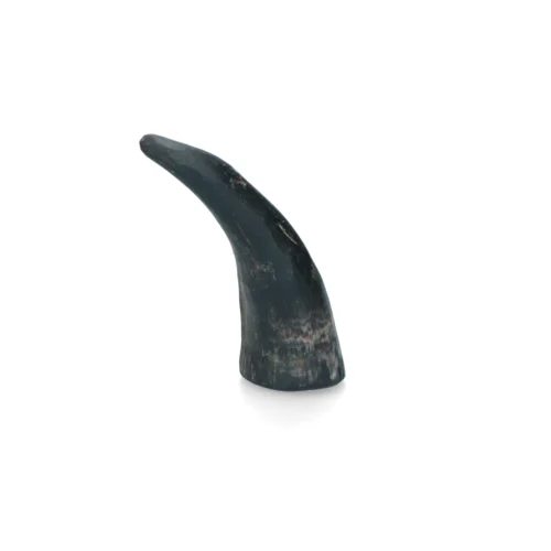 Viking Horn Whole