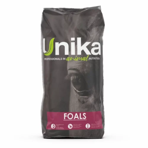 Unika Foals