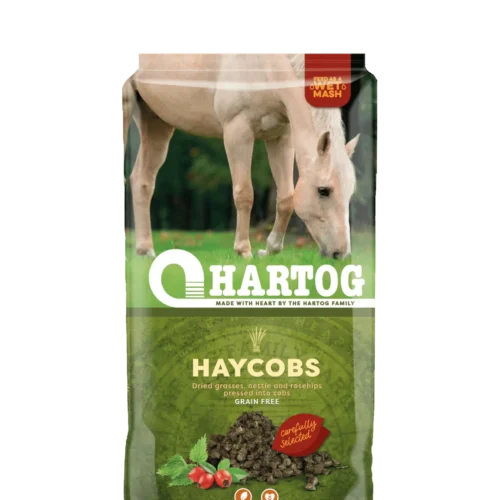 Hartog Haycobs