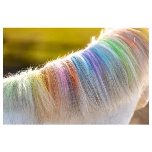 Paardenpraat Regenboog Kleurkrijt   - Image 2