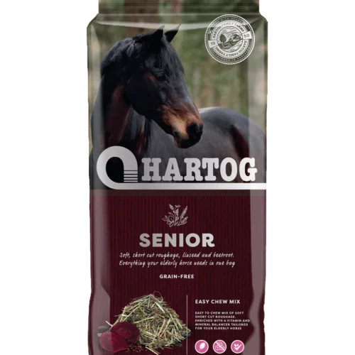 Hartog Senior