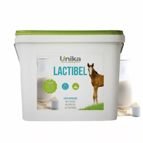 Lactibel - milk powder