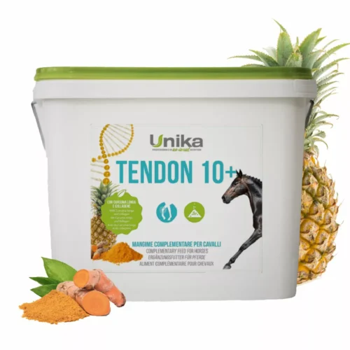 Tendon 10+