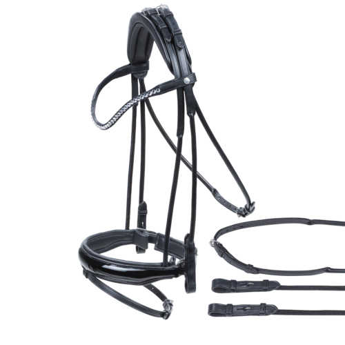 Busse Passage bridle