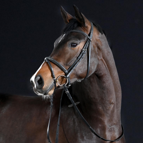 Busse Take-off bridle - Image 4