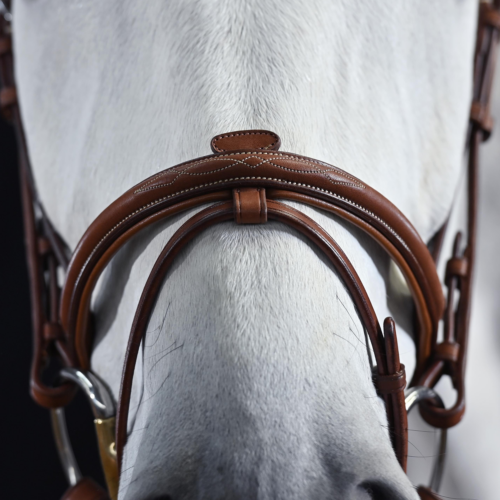 Busse Take-off bridle - Image 2