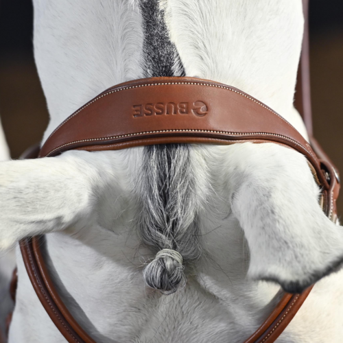 Busse Take-off bridle - Image 3