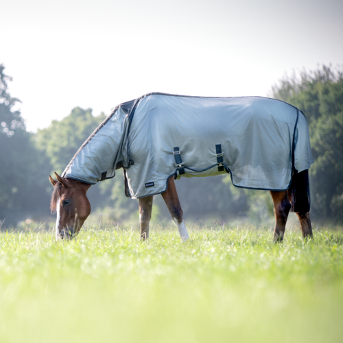 Busse Fly Superb rug - Image 2