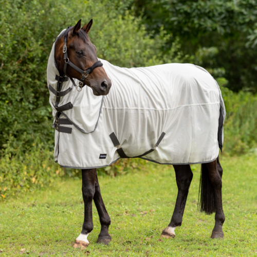 Busse Sunshine II fly rug - Image 3