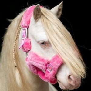 HB Showtime Little Fluffy halter