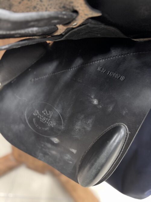 Prestige Elastic Professional (Used saddle) - Image 4