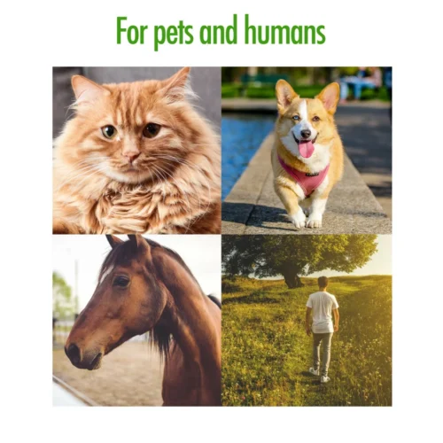 Zenpet Tick Tornado (Tick Remover) - Image 4