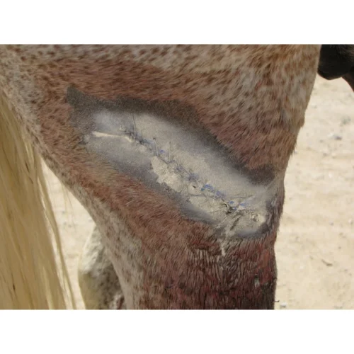 Excellent Aluminium Spray - Image 2