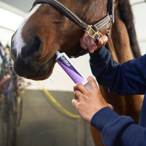 Lactic Control - Image 2