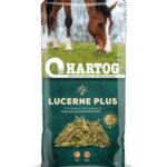Hartog Lucerne Plus