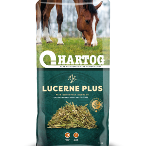 Hartog Lucerne Plus