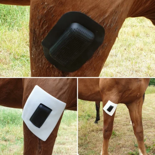Rheva Extra Strong Combo Wound Protection - Image 2